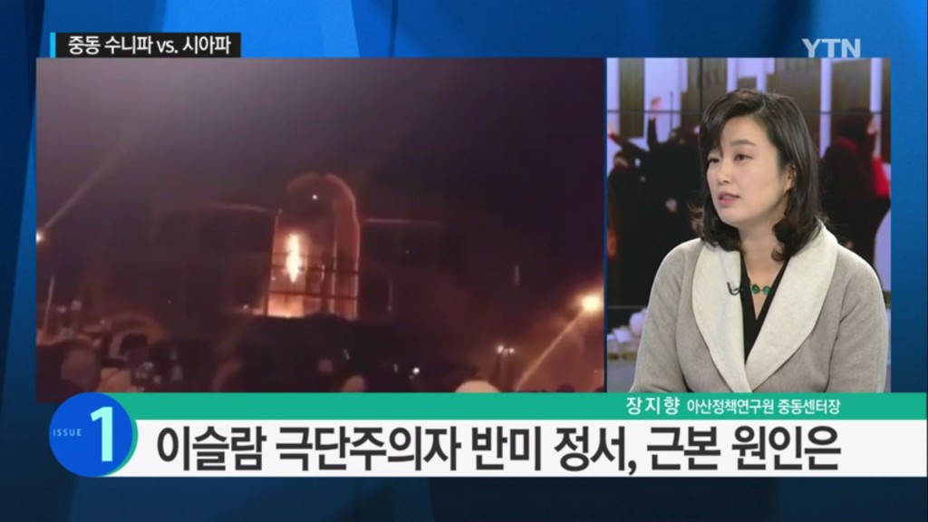 20150106 ytn-장지향